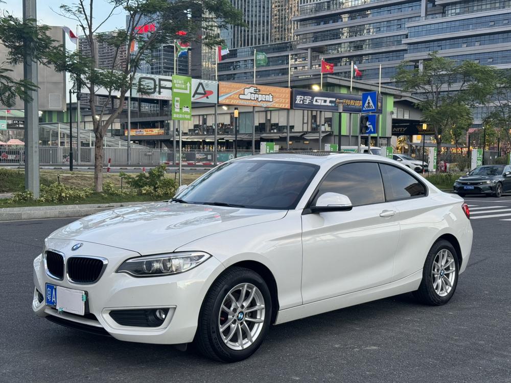 BMW BMW 2-Series (Import)