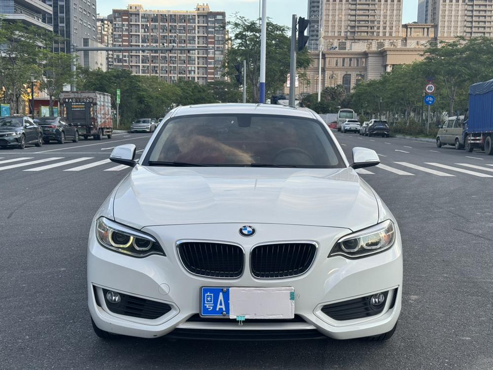 BMW BMW 2-Series (Import)