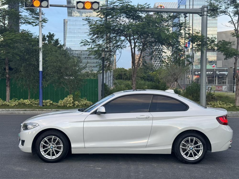 BMW BMW 2-Series (Import)