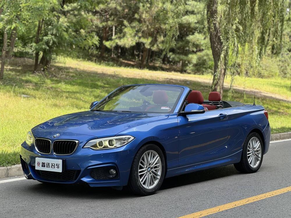BMW BMW 2-Series (Import)