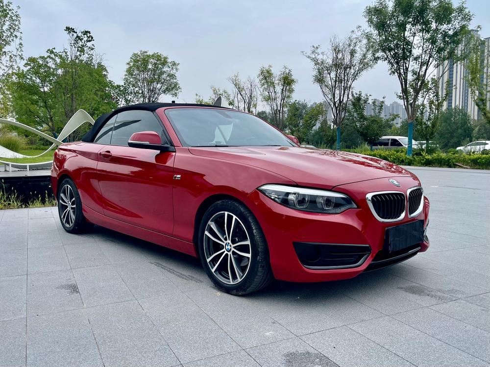 BMW BMW 2-Series (Import)