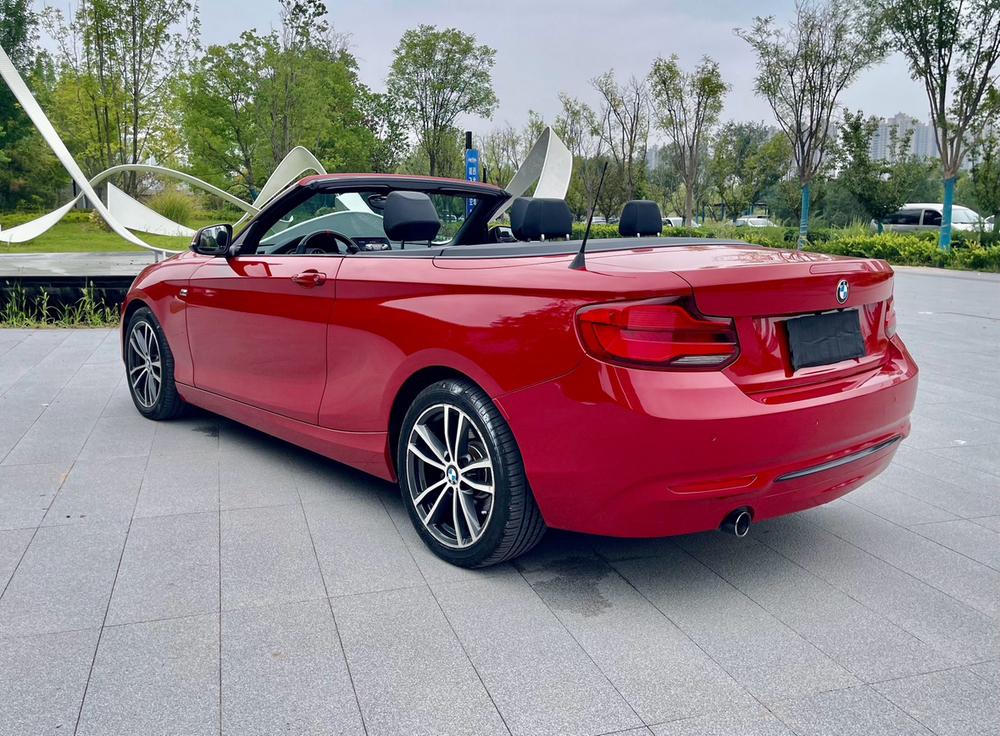 BMW BMW 2-Series (Import)