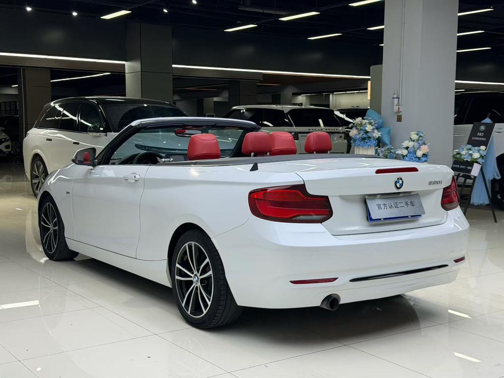 BMW BMW 2-Series (Import)