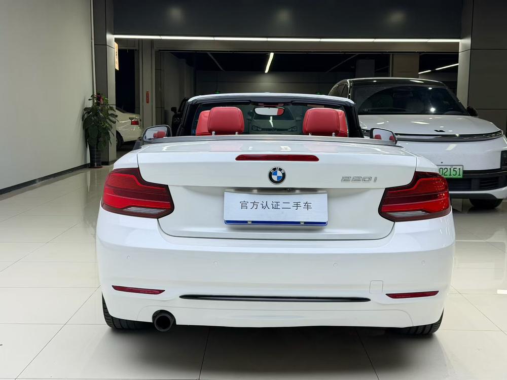 BMW BMW 2-Series (Import)
