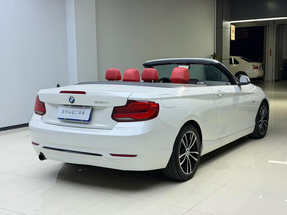 BMW BMW 2-Series (Import)
