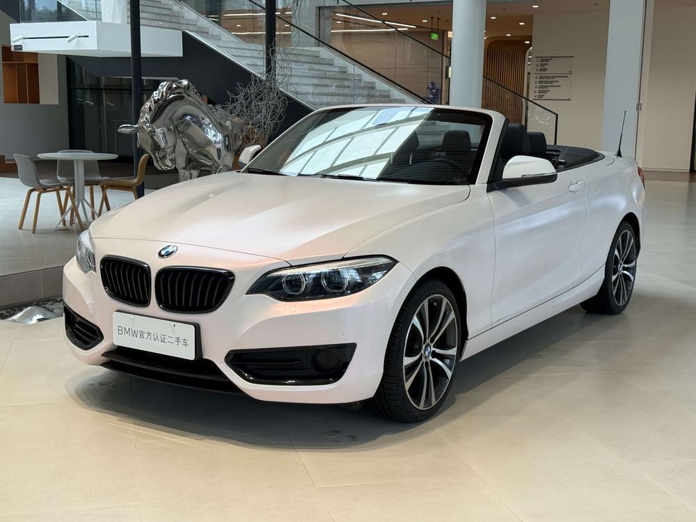 BMW BMW 2-Series (Import)