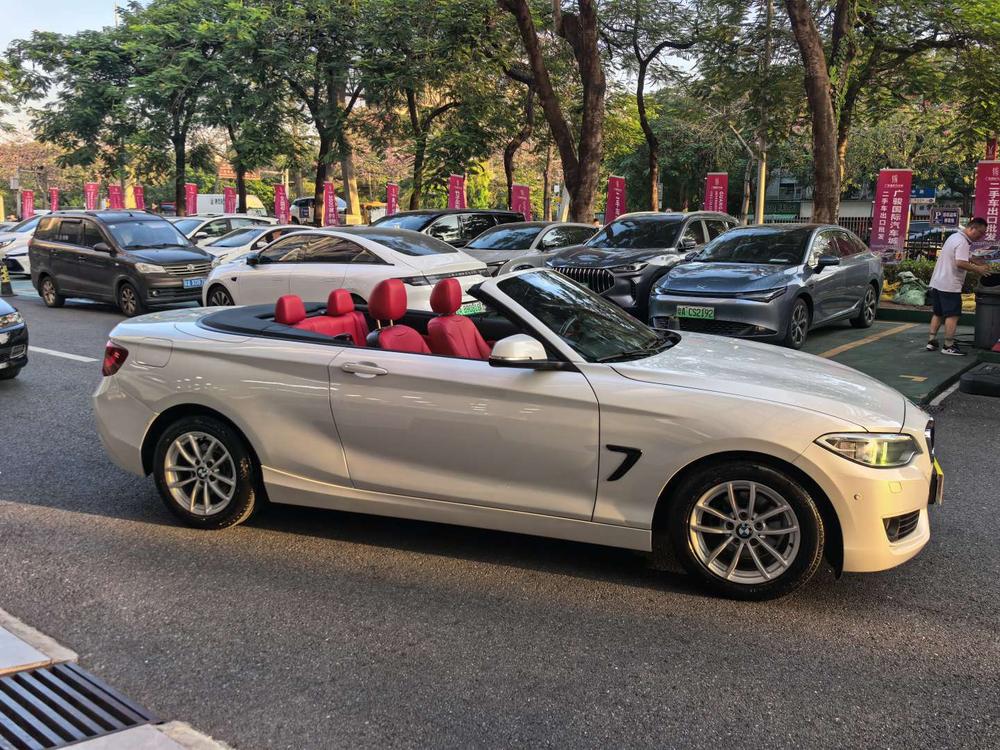 BMW BMW 2-Series (Import)