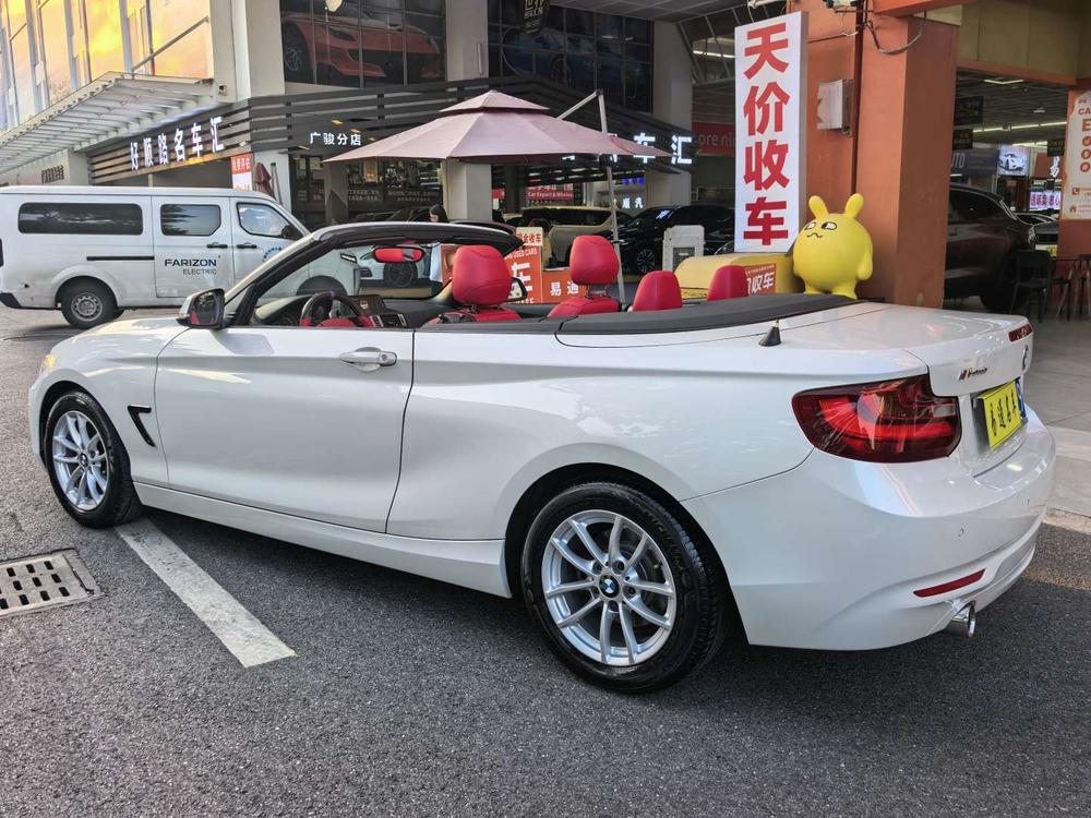 BMW BMW 2-Series (Import)