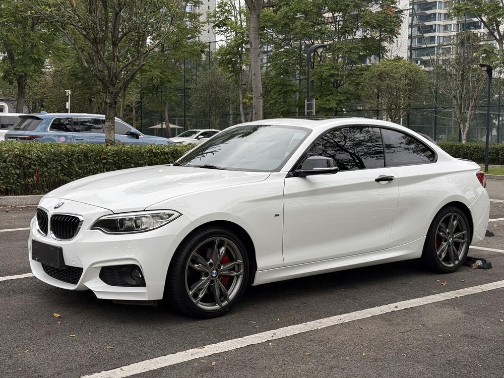 BMW BMW 2-Series (Import)