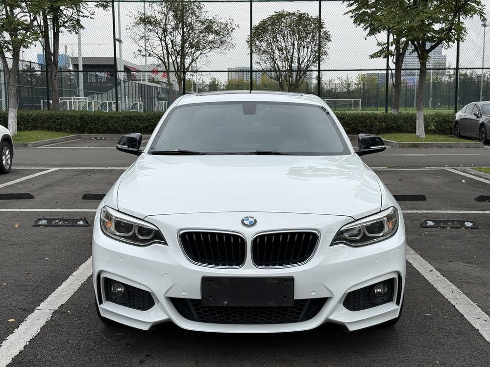 BMW BMW 2-Series (Import)