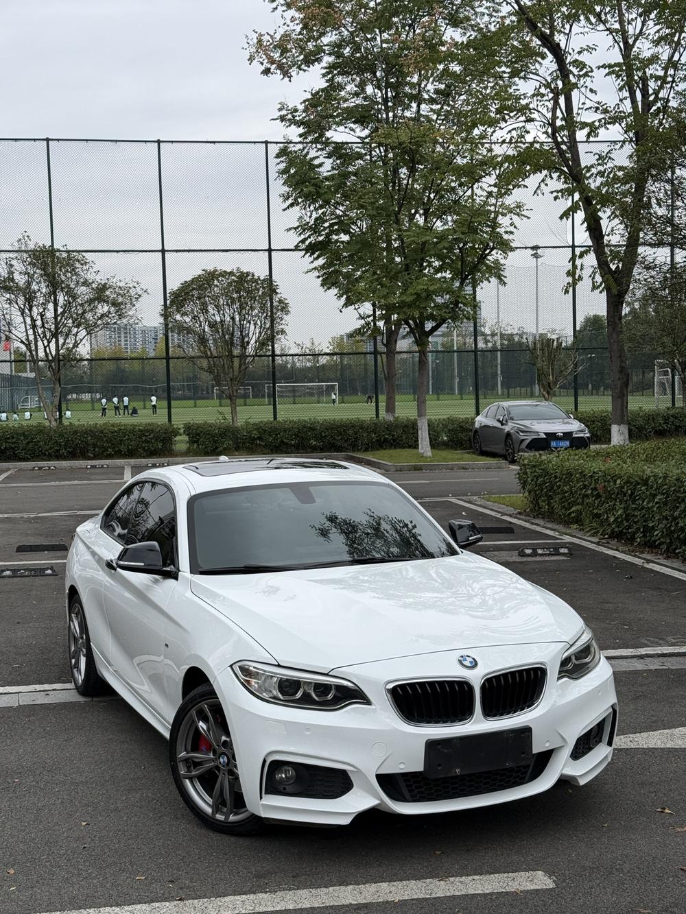 BMW BMW 2-Series (Import)