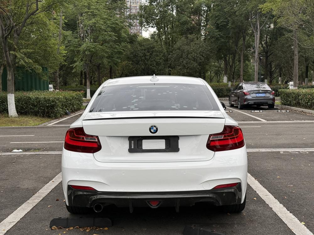 BMW BMW 2-Series (Import)