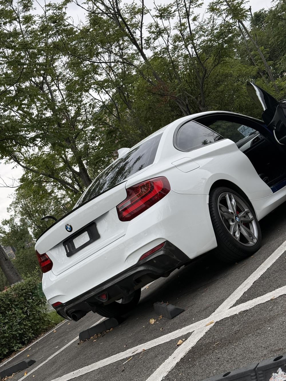 BMW BMW 2-Series (Import)