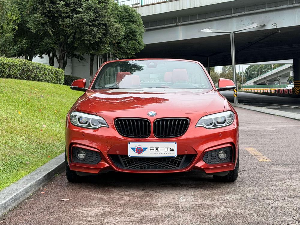 BMW BMW 2-Series (Import)