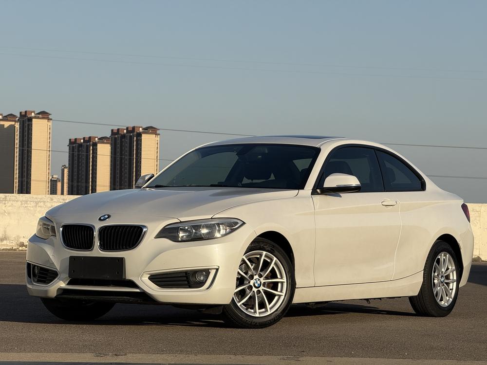BMW BMW 2-Series (Import)