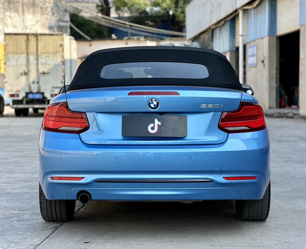 BMW BMW 2-Series (Import)