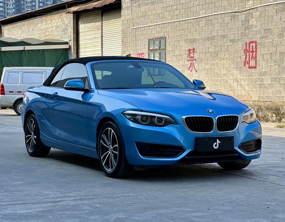 BMW BMW 2-Series (Import)