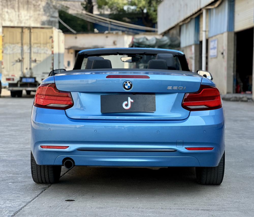 BMW BMW 2-Series (Import)