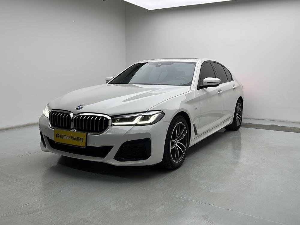 BMW BMW 5-Series (Import)