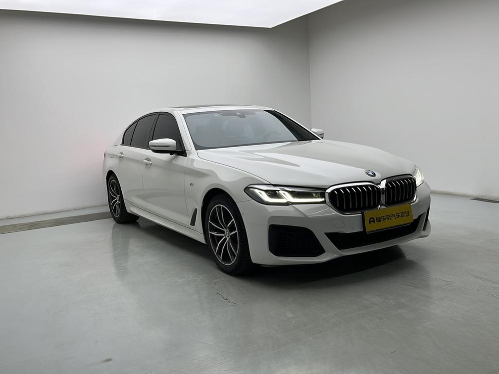 BMW BMW 5-Series (Import)