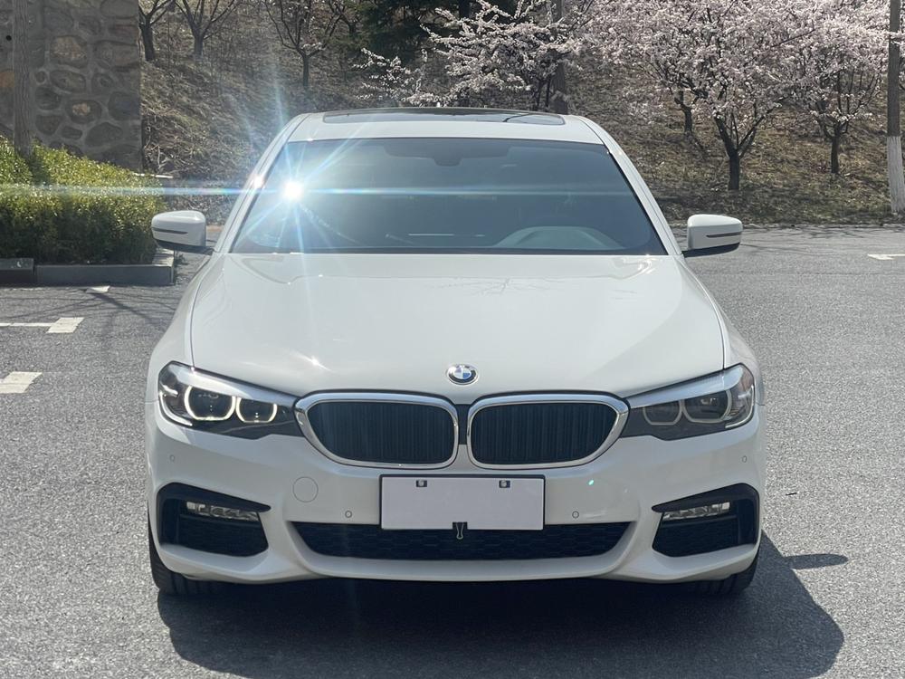 BMW BMW 5-Series (Import)