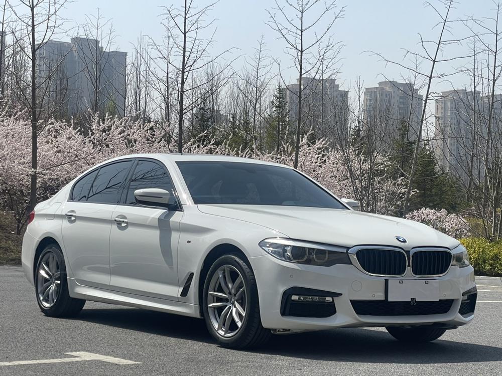 BMW BMW 5-Series (Import)