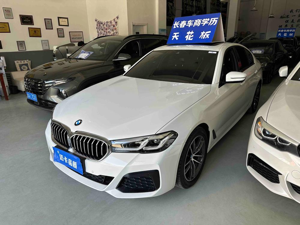 BMW BMW 5-Series (Import)