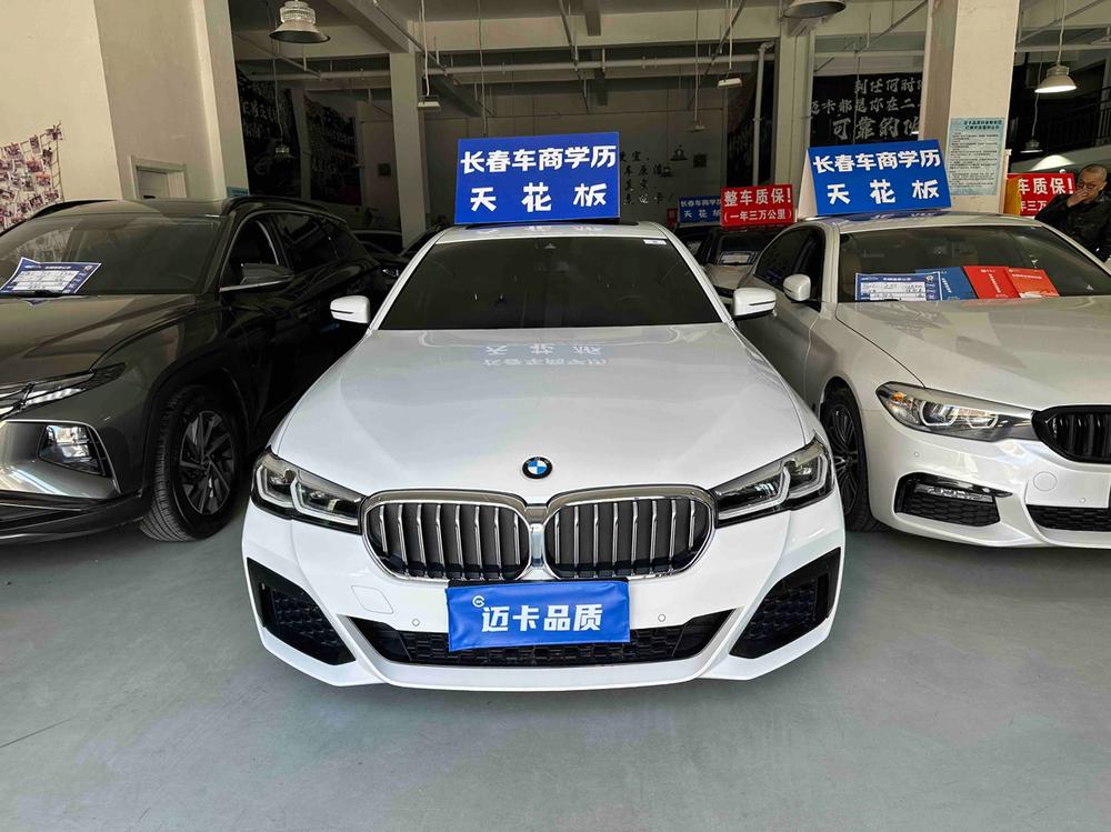 BMW BMW 5-Series (Import)