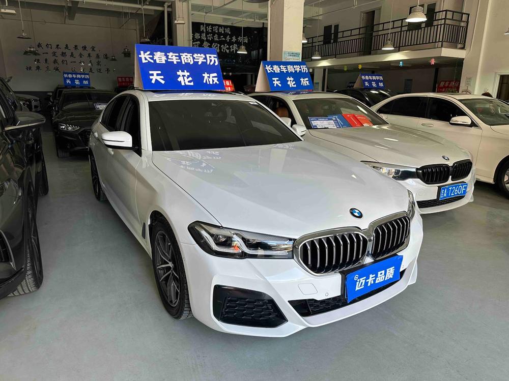 BMW BMW 5-Series (Import)