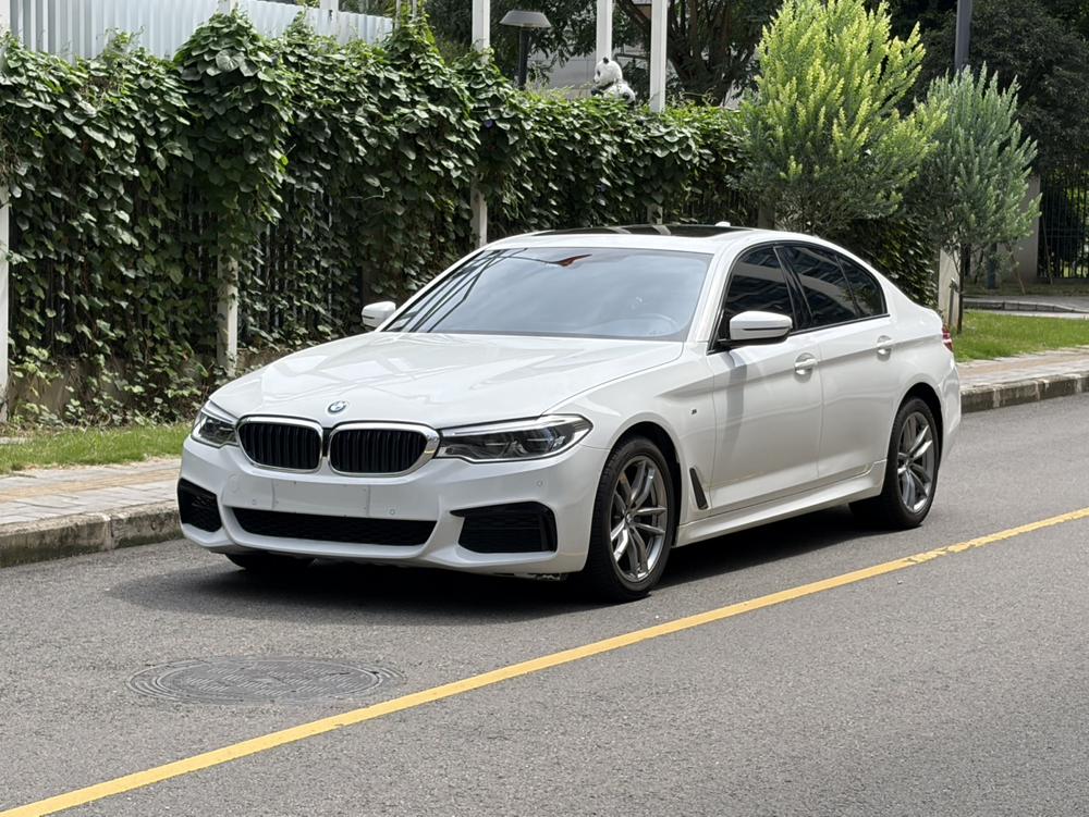 BMW BMW 5-Series (Import)