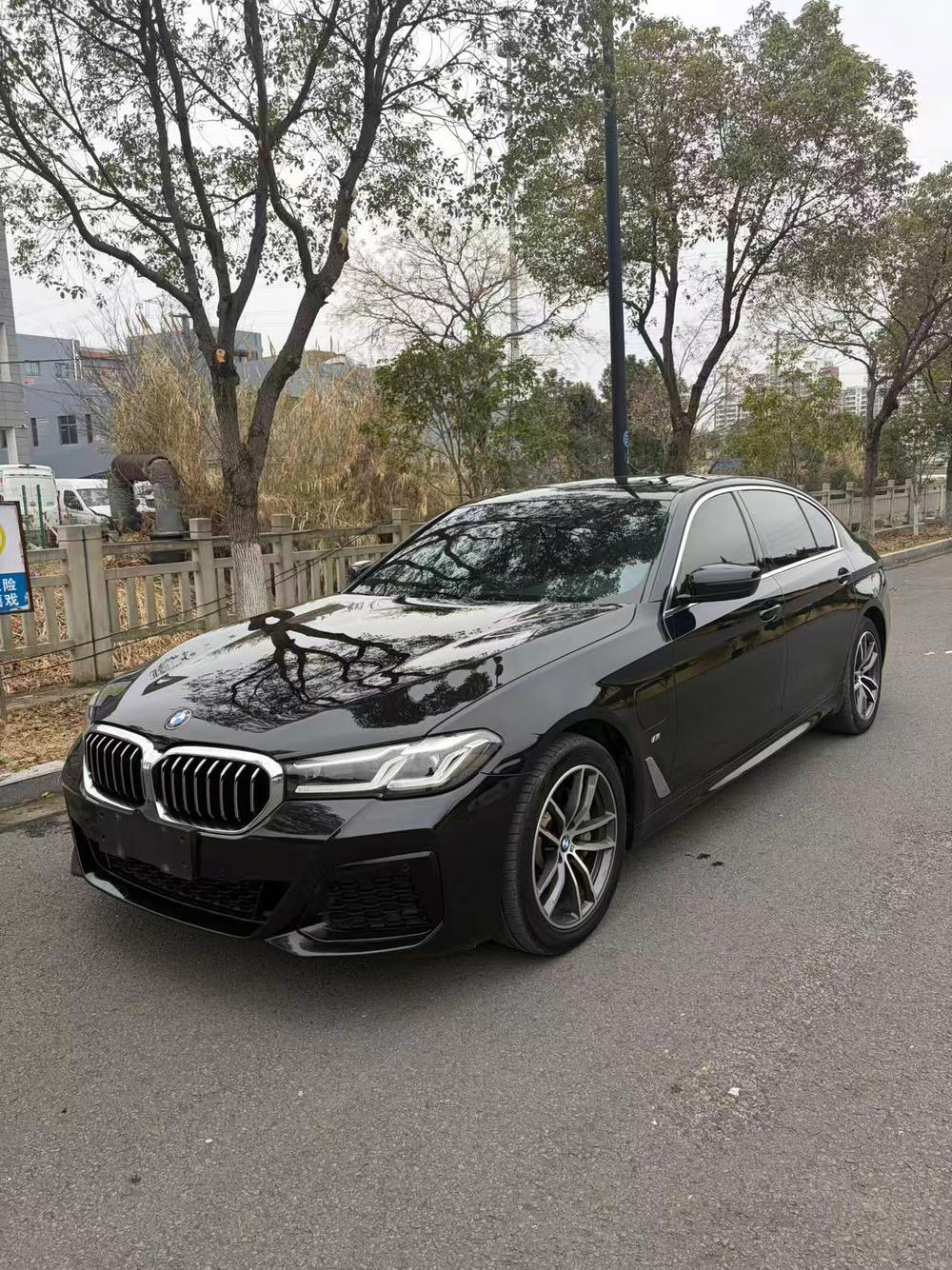 BMW BMW 5-Series PHEV
