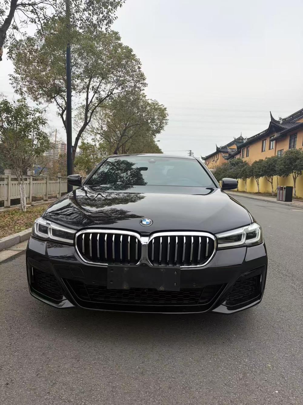 BMW BMW 5-Series PHEV