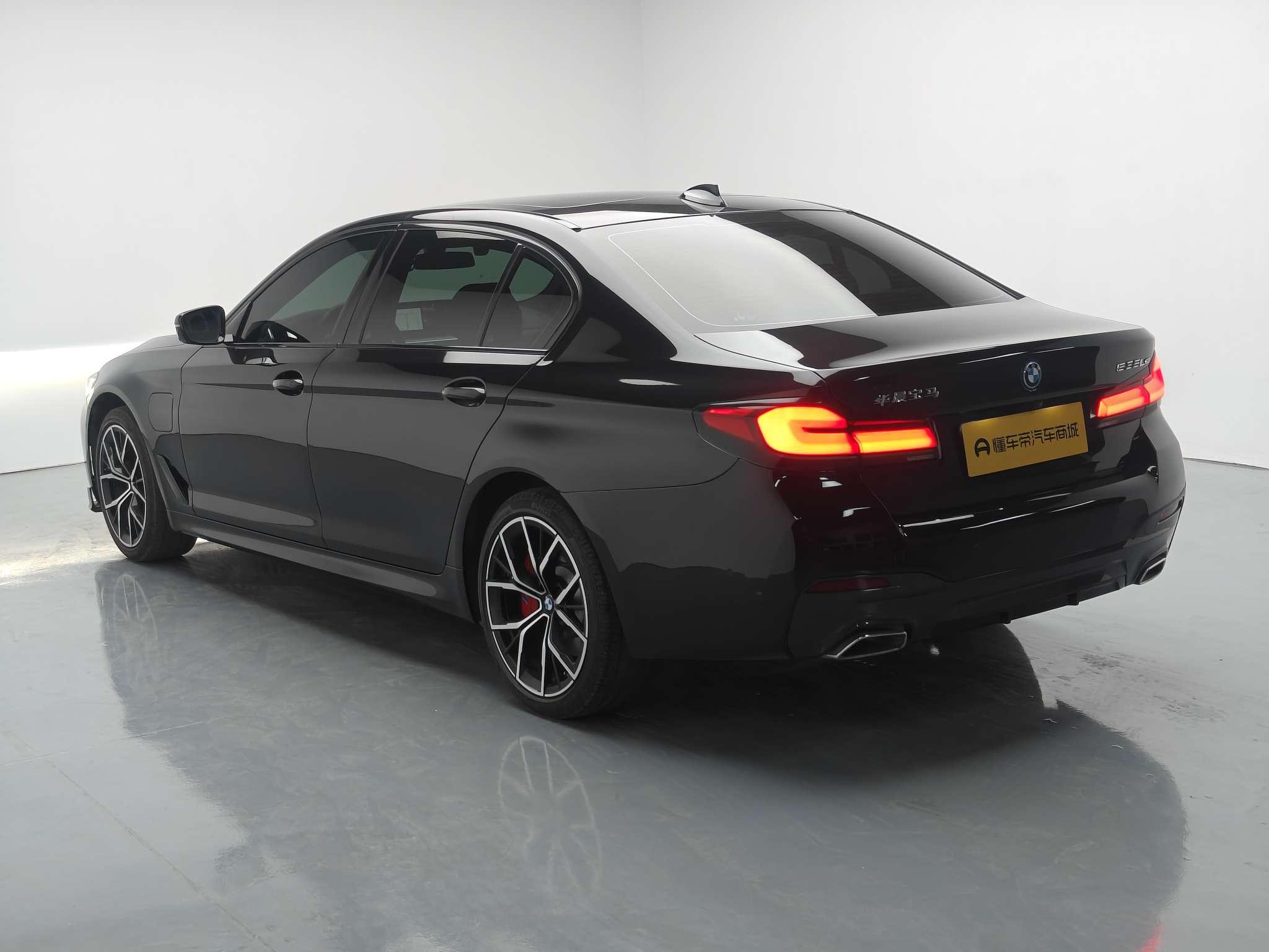 BMW BMW 5-Series PHEV