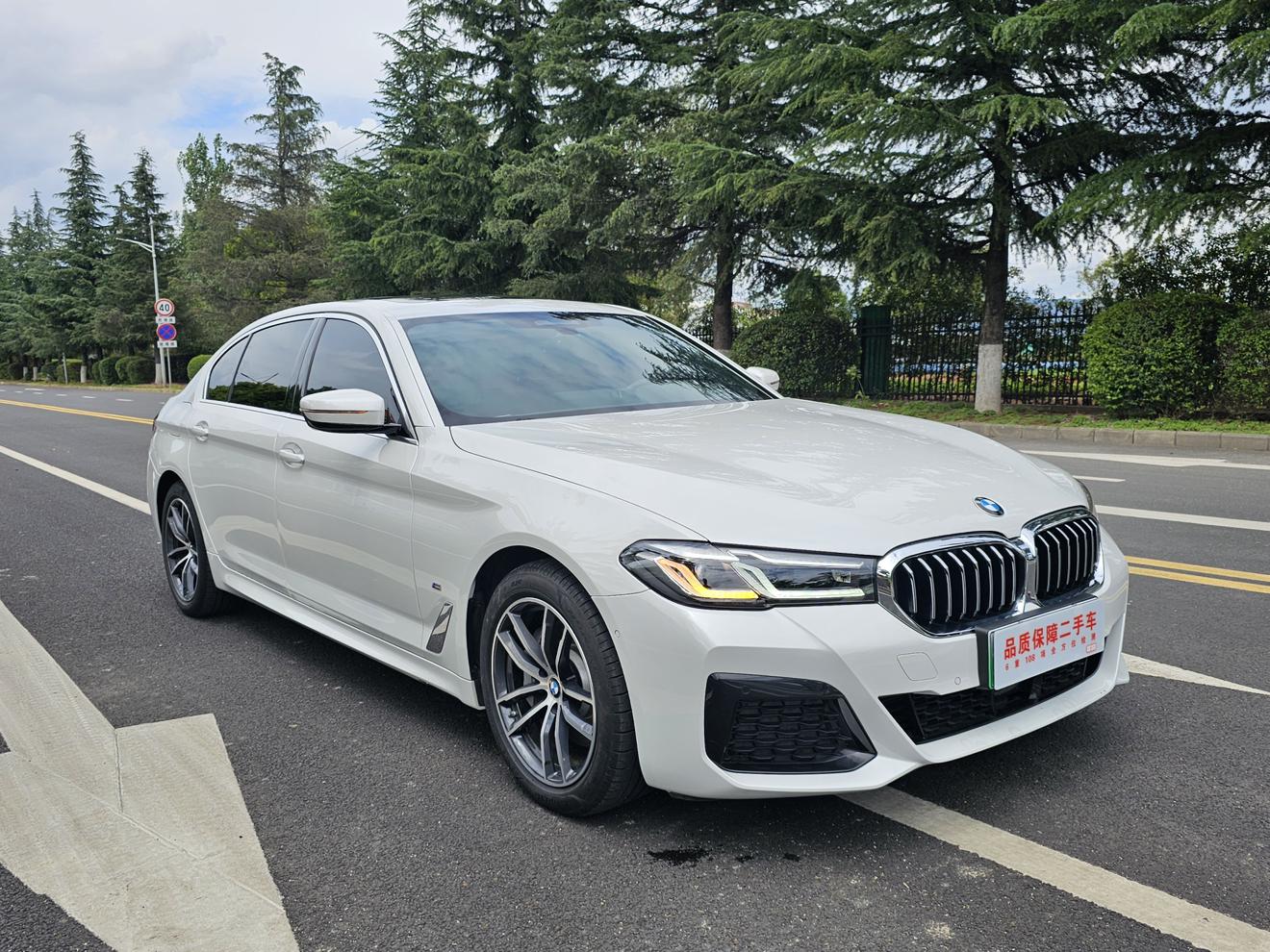 BMW BMW 5-Series PHEV