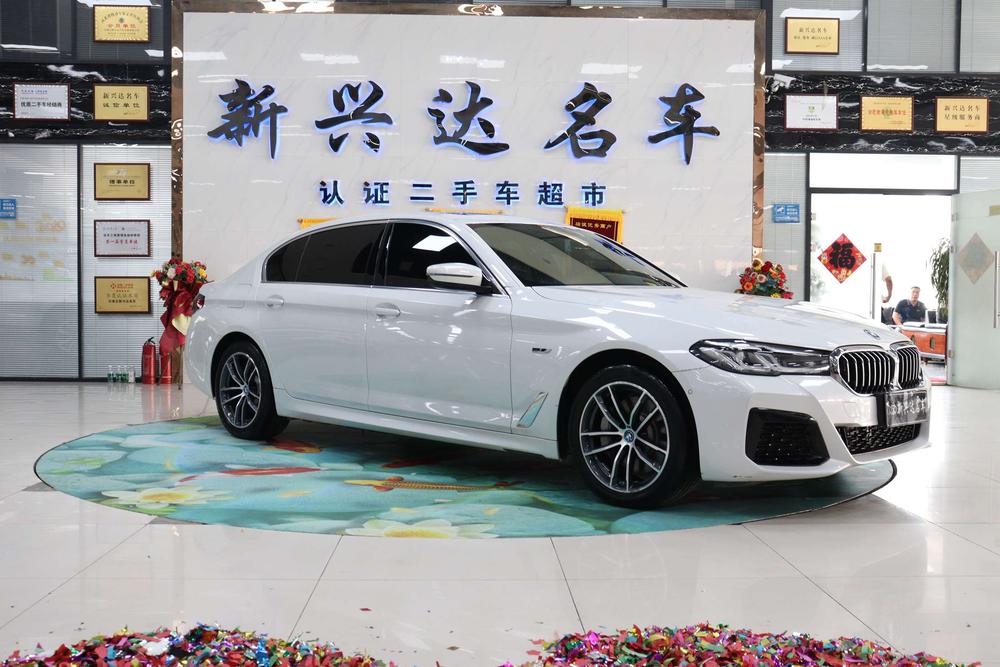 BMW BMW 5-Series PHEV
