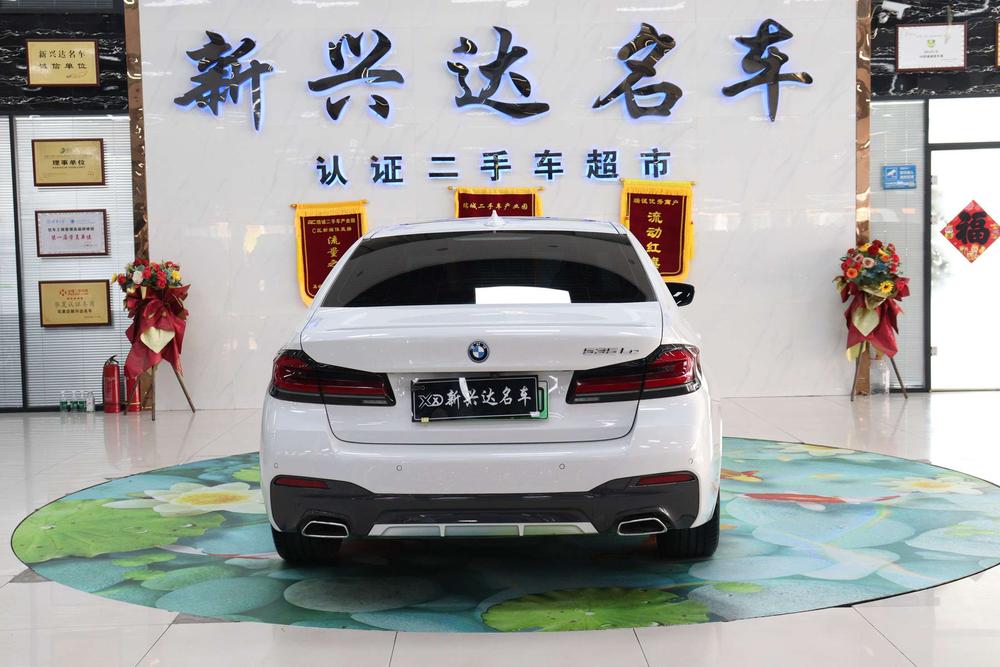 BMW BMW 5-Series PHEV