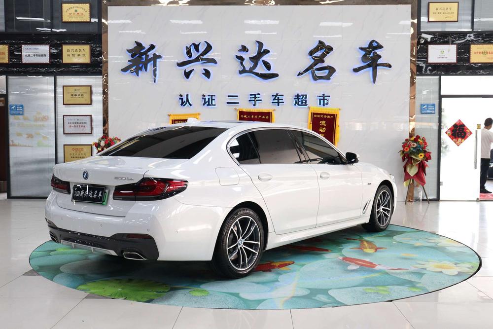 BMW BMW 5-Series PHEV