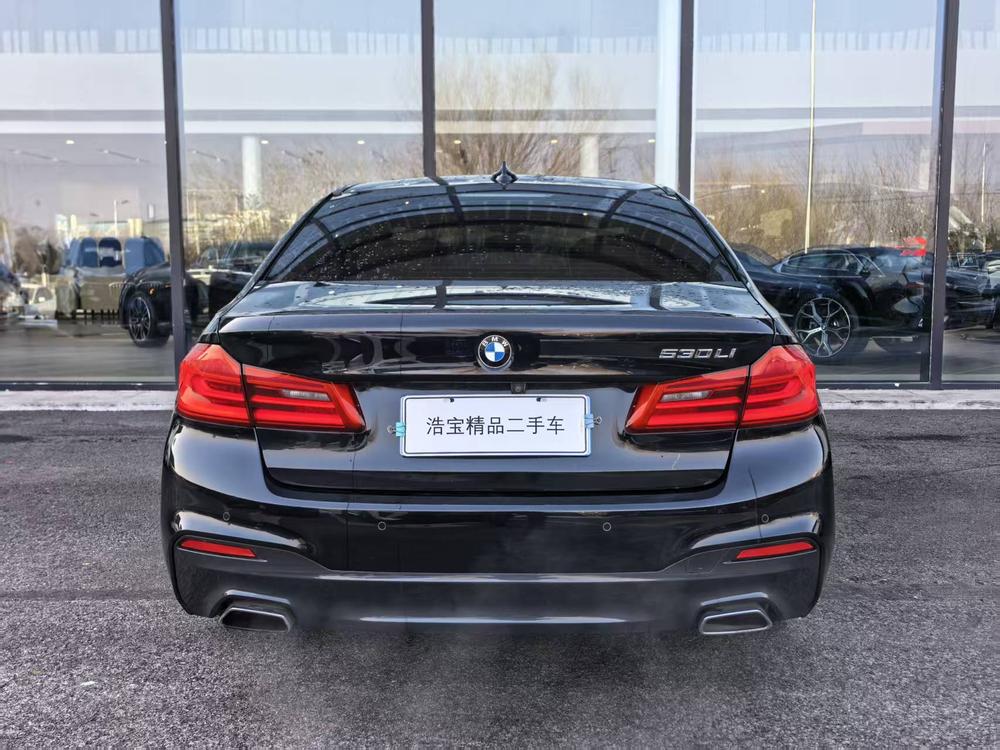 BMW BMW 5-Series