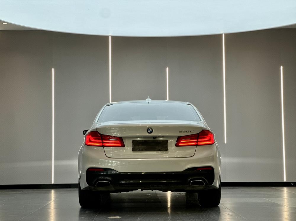 BMW BMW 5-Series