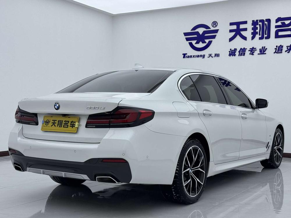 BMW BMW 5-Series