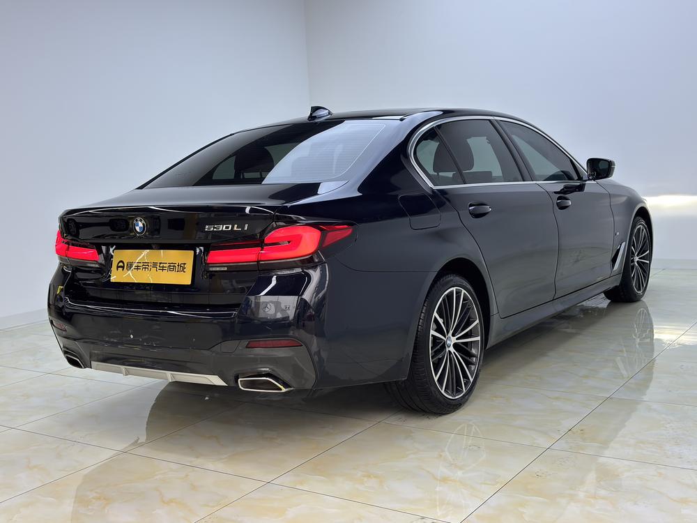 BMW BMW 5-Series