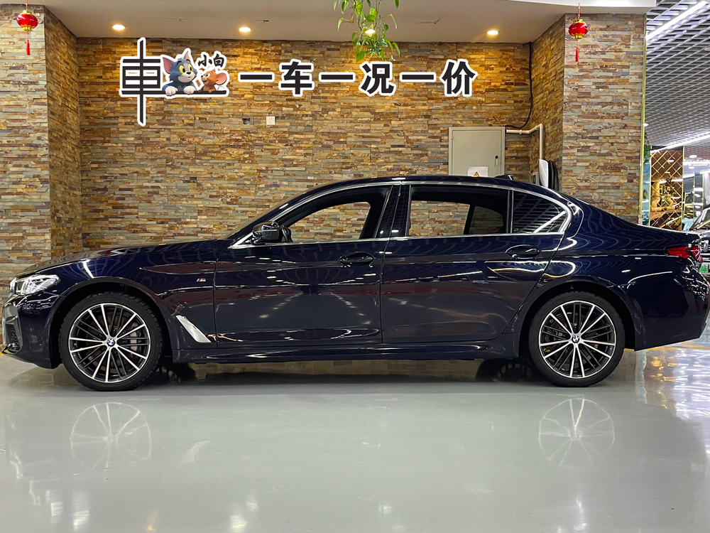BMW BMW 5-Series