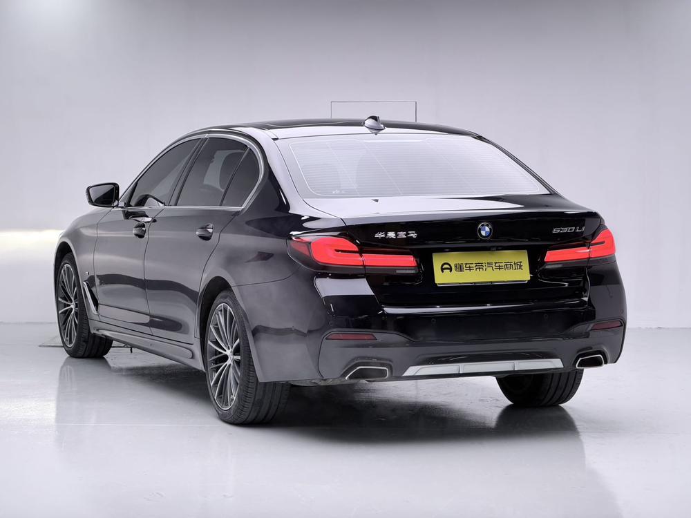 BMW BMW 5-Series