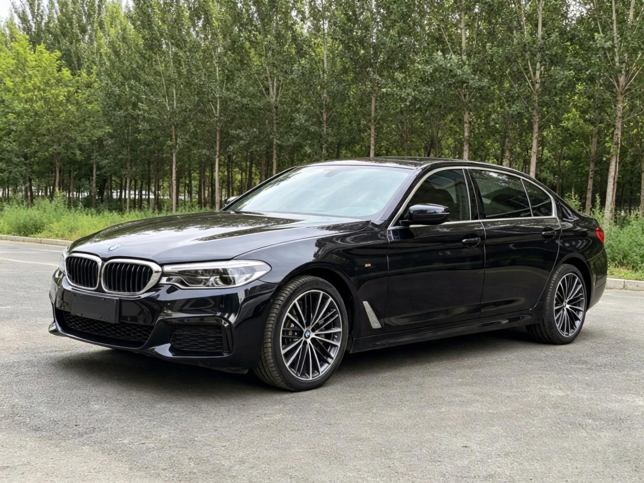 BMW BMW 5-Series