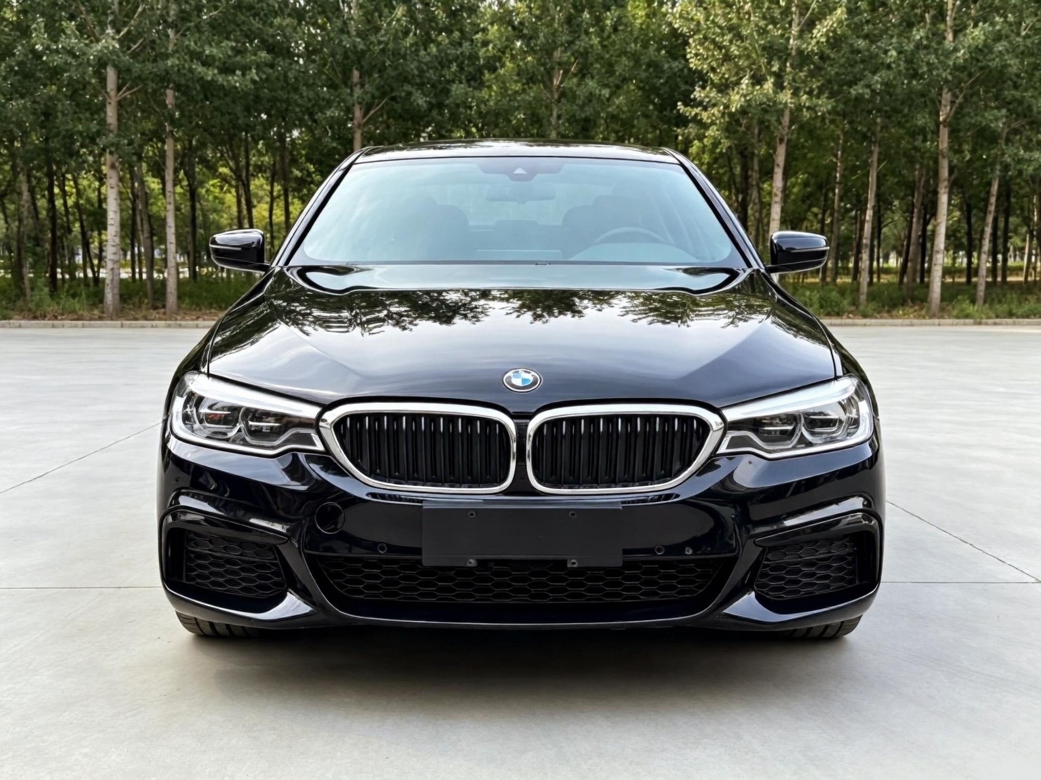 BMW BMW 5-Series