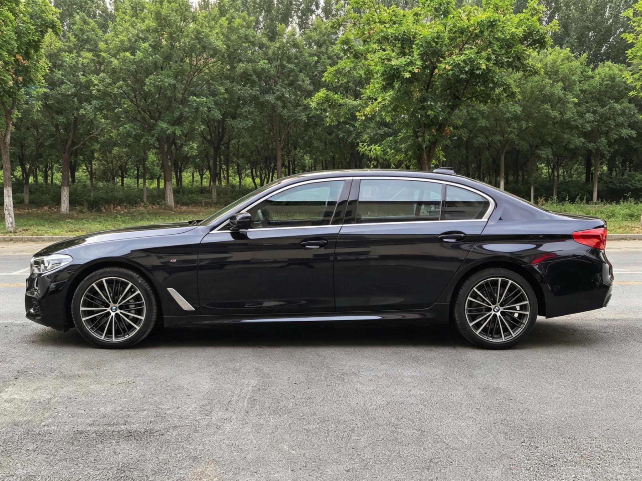 BMW BMW 5-Series