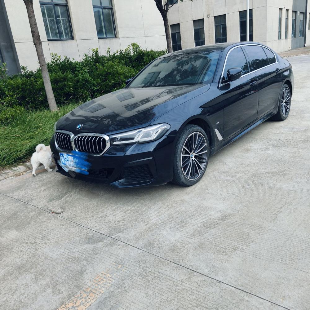 BMW BMW 5-Series