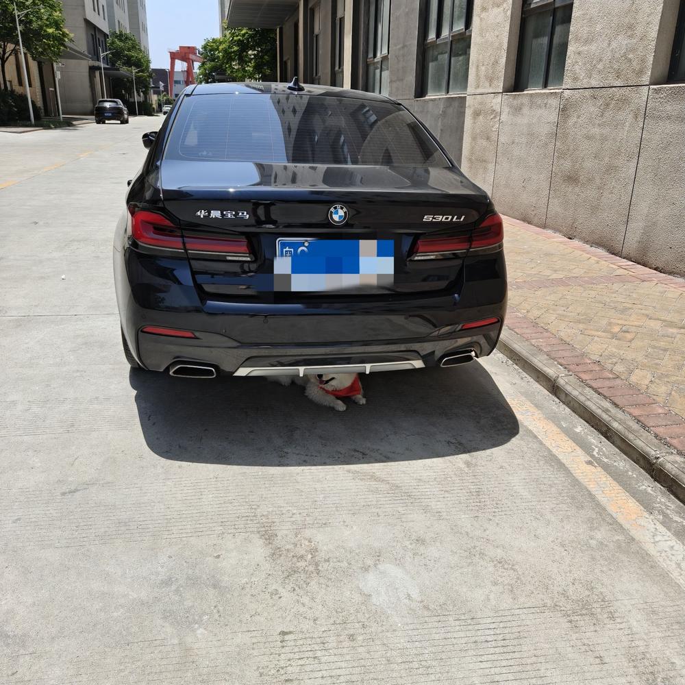 BMW BMW 5-Series