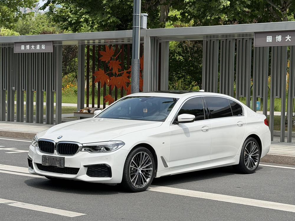BMW BMW 5-Series