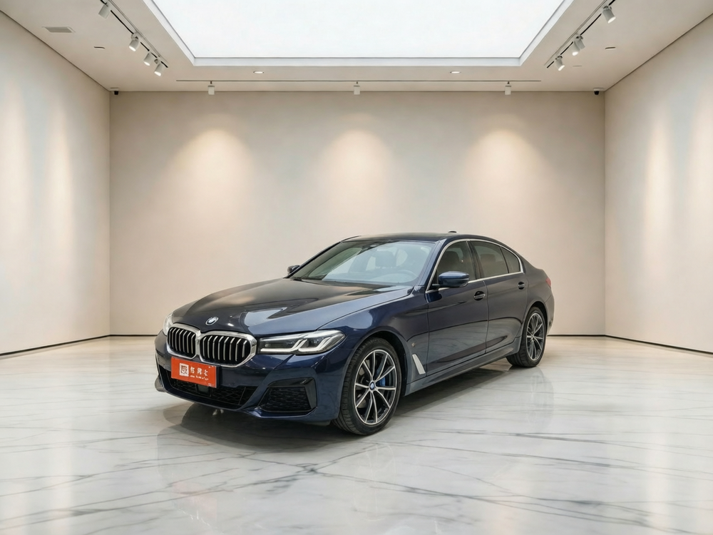 BMW BMW 5-Series